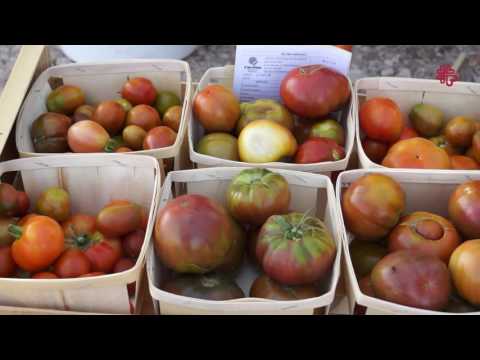 Vídeo: Jardín Sin Complicaciones. Agricultura Ecológica