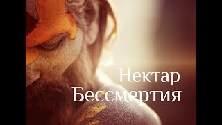 Возникновение Бытия - Нисаргадатта Махарадж. Нектар Бессмертия. Беседы о Вечном