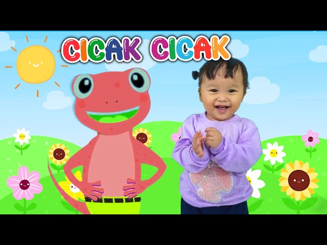 LAGU ANAK CICAK CICAK DI DINDING AYASHA & BEYZA 💗 LAGU ANAK INDONESIA POPULER class=