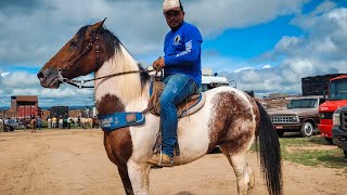 FEIRA DE CAVALO DE CACHOEIRINHA PE, QUINTA FEIRA, 18.04.24 #nordeste