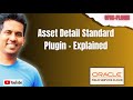 Asset Detail Standard Plugin - Explained