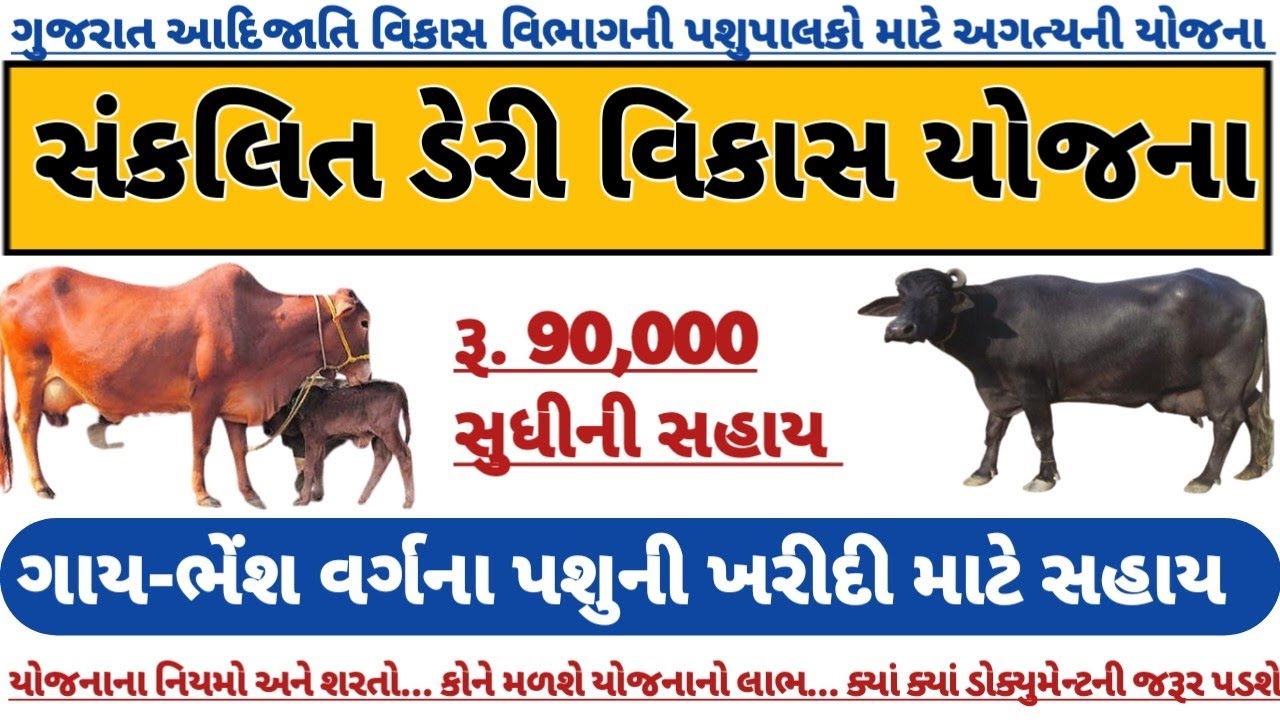 સંકલિત ડેરી વિકાસ યોજના 2026-27|આદિજાતિની મહિલાઓ માટે પશુપાલન માટે 90,000 સુધીની સહાય|પશુપાલન યોજના|