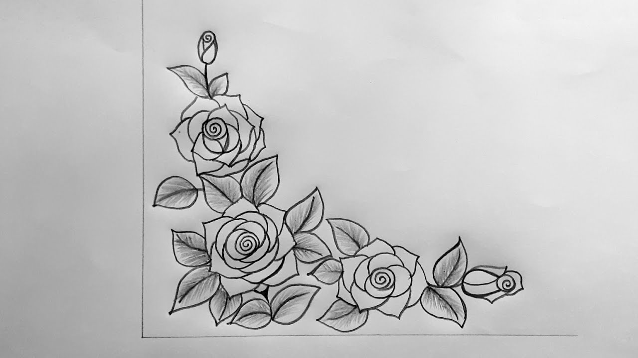 Rose Flower Corner Design | Border Design | Rose Drawing - Youtube