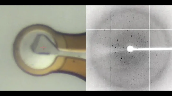 X-ray diffraction of a protein crystal