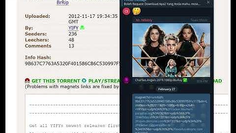 tutorial download pirate seedbox english version(PC)