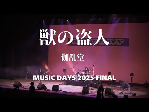 伽乱堂「獣の盗人」MUSIC DAYS 2025 FINAL