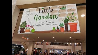 Little Garden 2017 Seacon Bangkae