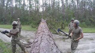 Information 57th Sapper Company clears the way News