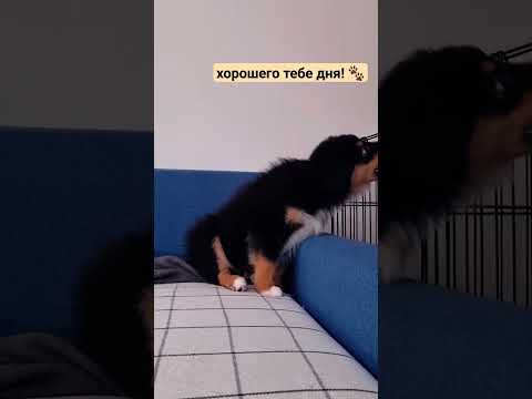 Лучшие идеи для создания уютного вечера в домашней обстановке