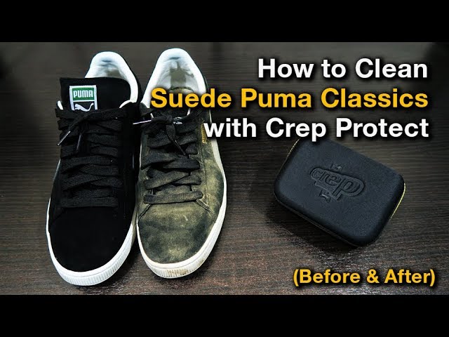 how to clean suede shoes puma