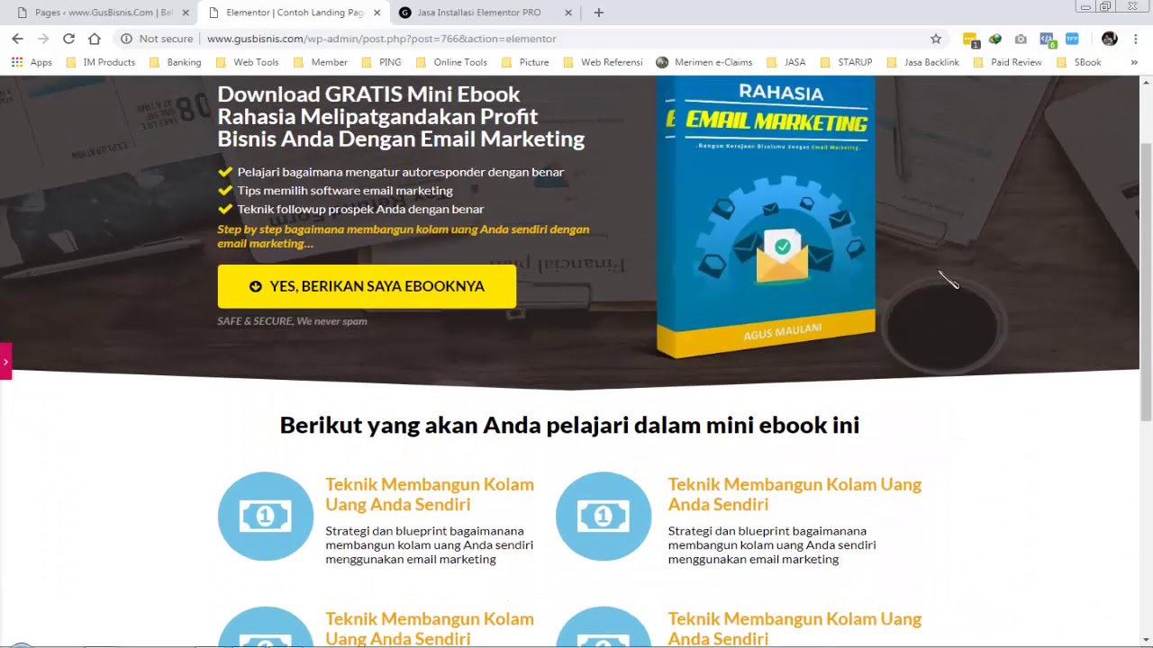 Cara Membuat Landing Page Yang Professional Dengan Wordpress 