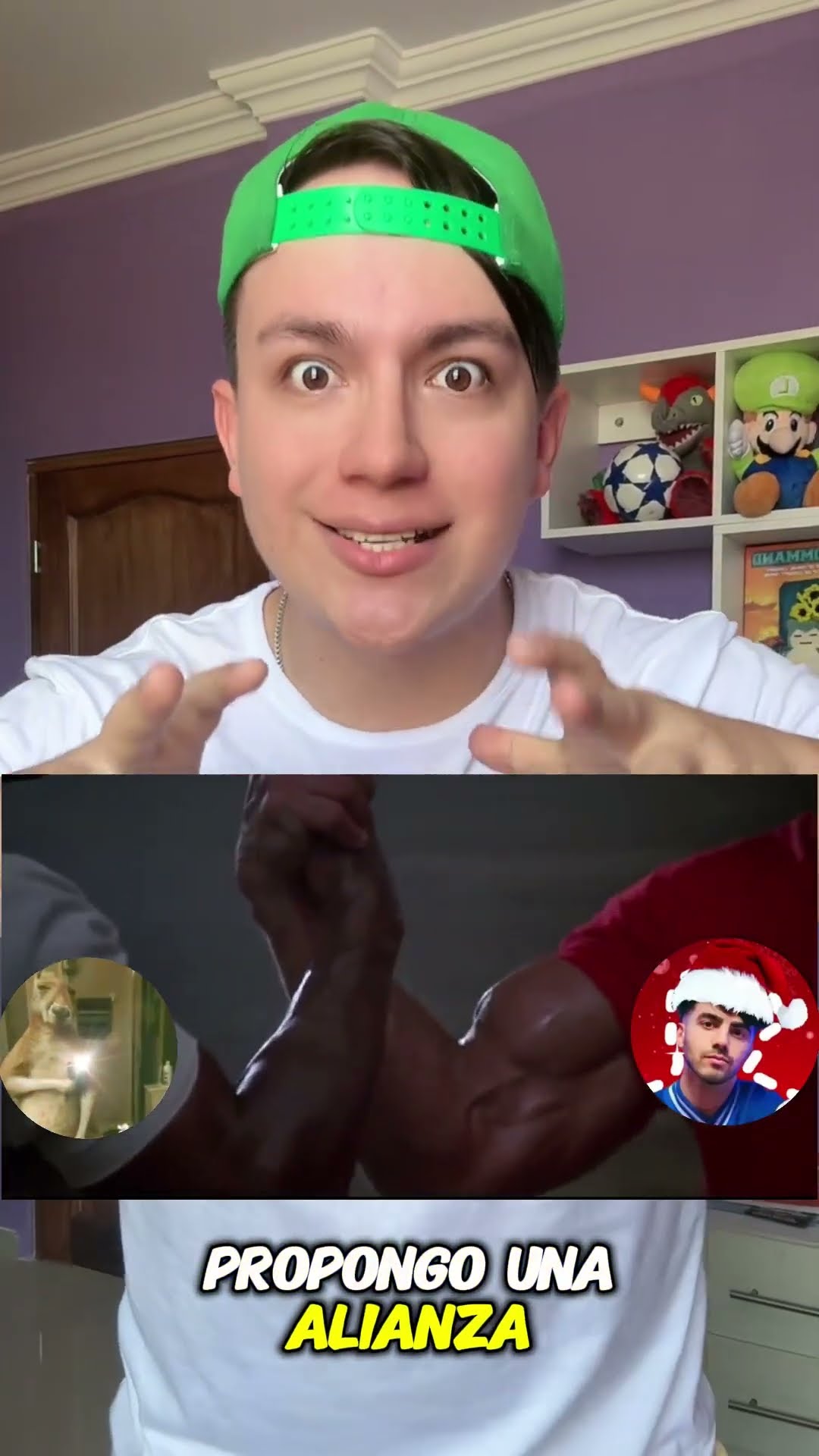 Los Canguros y la Navidad se unieron?Dominaran el Mundo?!