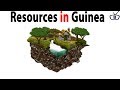 Major natural resources in Guinea