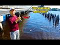 He Quickly Learned That Florida Has Fishing Regulations