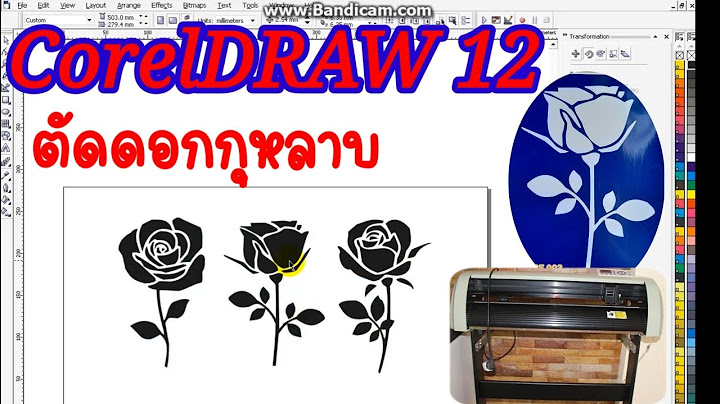 ค ม อ การ ใช โปรแกรม coreldraw 12