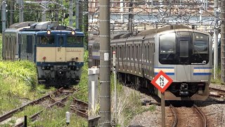 2023/08/08 【廃車回送】 EF64 1031 + E217系 Y-36編成 大船駅 | Japan Railways: E217 Series Y-36 Set to be Scrapped