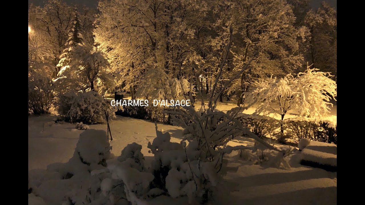 FORTUIT A STAFFELFELDEN