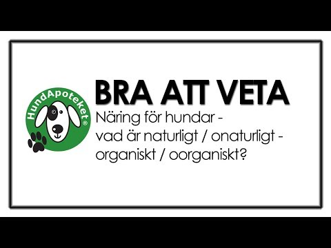 Video: Kan Hundar Och Valpar äta äpplen? - Är äpplen Bra För Hundar?