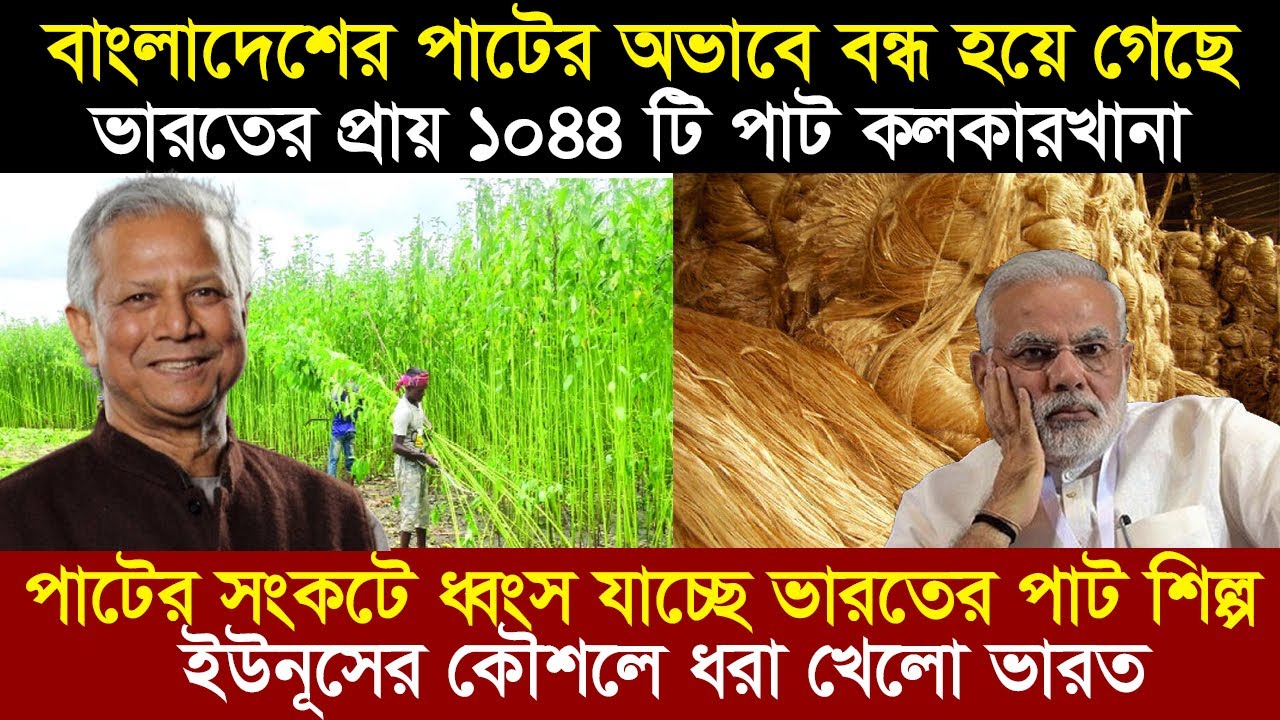 ভারতে কাঁচা পাট রপ্তানিতে নি-ষে-ধা-জ্ঞা দিলো বাংলাদেশ। বাংলাদেশের পাটের অভাবে বন্ধ ভারতের পাট কলগুলো