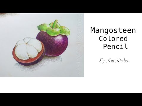 Mangosteen Colored Pencil ðĻð āļĢāļ°āļāļēāļĒāļŠāļĩāđāļĄāđ āļĄāļąāļāļāļļāļâĪïļ