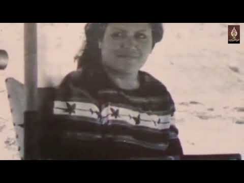 المؤرخ 3 11 الظلم الذي تعرض له المفكر سيد قطب من صديقه السابق جمال عبدالناصر الذي أعدمه