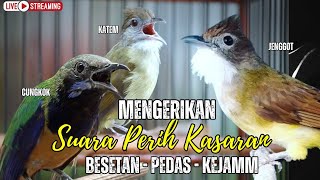 LIVE MASTERAN TERMEWAH 2026 || BESETAN - CUNGKOK GEREJA TARUNG - TEPUS  || KUNTI MENJERIT PANJANG