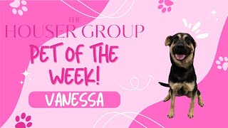 Pet of the Week: Vanessa!