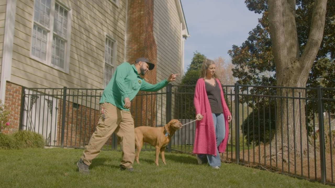 Mosquito Joe's Tick Services - 90 Seconds