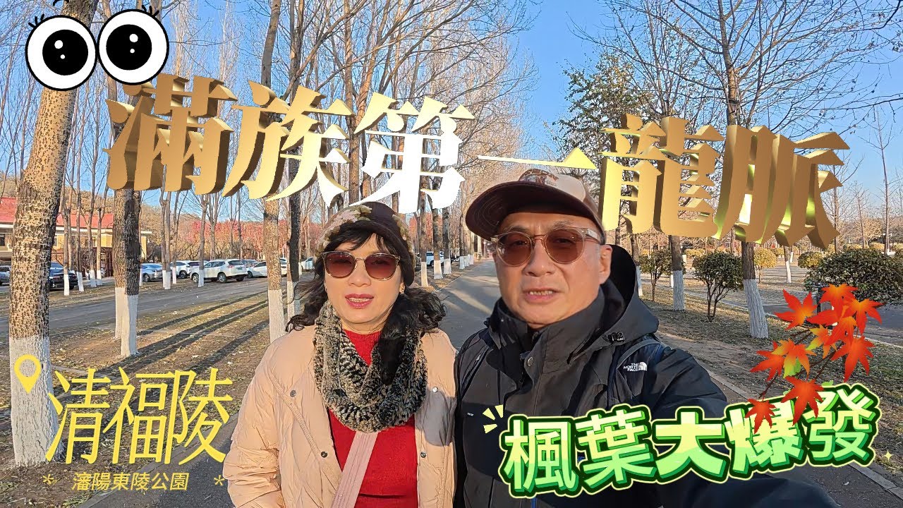 終於看到浪漫楓紅美景在東陵公園清福陵 地鐵直達 腳踩三十六天罡七十二地煞去除霉運 在古松林看文武百官俯首稱臣 滿清第一風水寶地龍脈格局 探訪皇陵細節部局