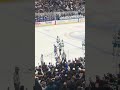 Sabres vs Sharks Malenstyn fight