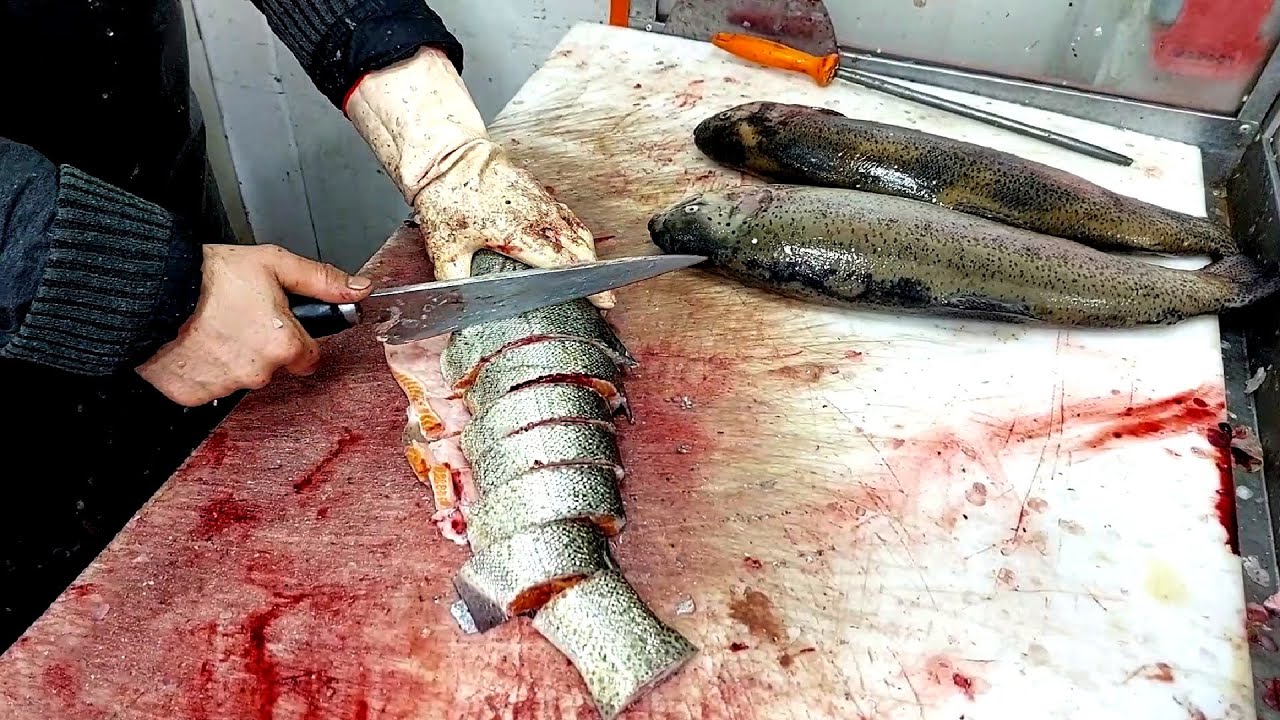 Professionally cut three salmon fish into steaks - Gutting a fish