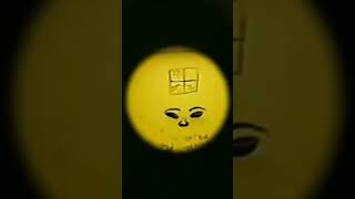 SHORTS PARA TENER CONTENIDO VARIADO