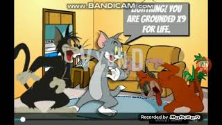 Reupload Lightning Cat Gets Grounded For Nothing