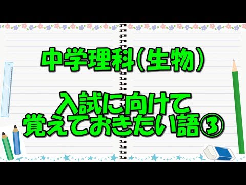 Hqdefault