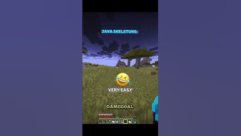 Java Skeletons vs Bedrock Skeletons 💀