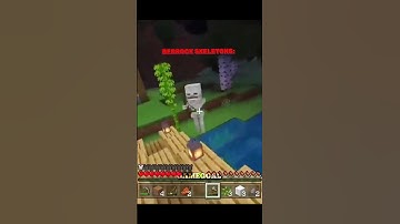 Java Skeletons vs Bedrock Skeletons 💀