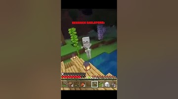 Java Skeletons vs Bedrock Skeletons 💀