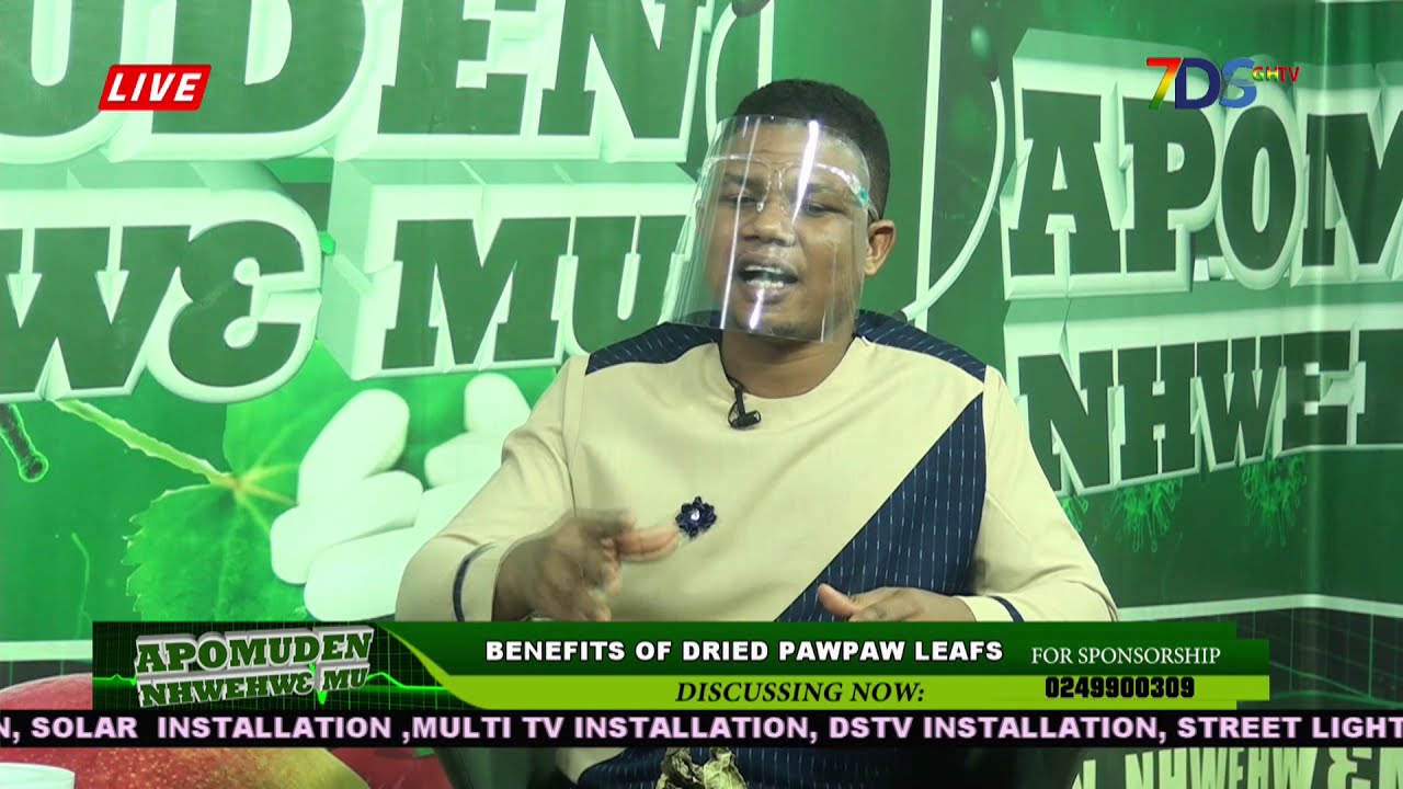 BENEFIT OF DRIED PAWPAW LEAVES YouTube