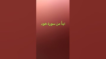 دحيم الحماد ١٤٤١هـ آية من سورة هود