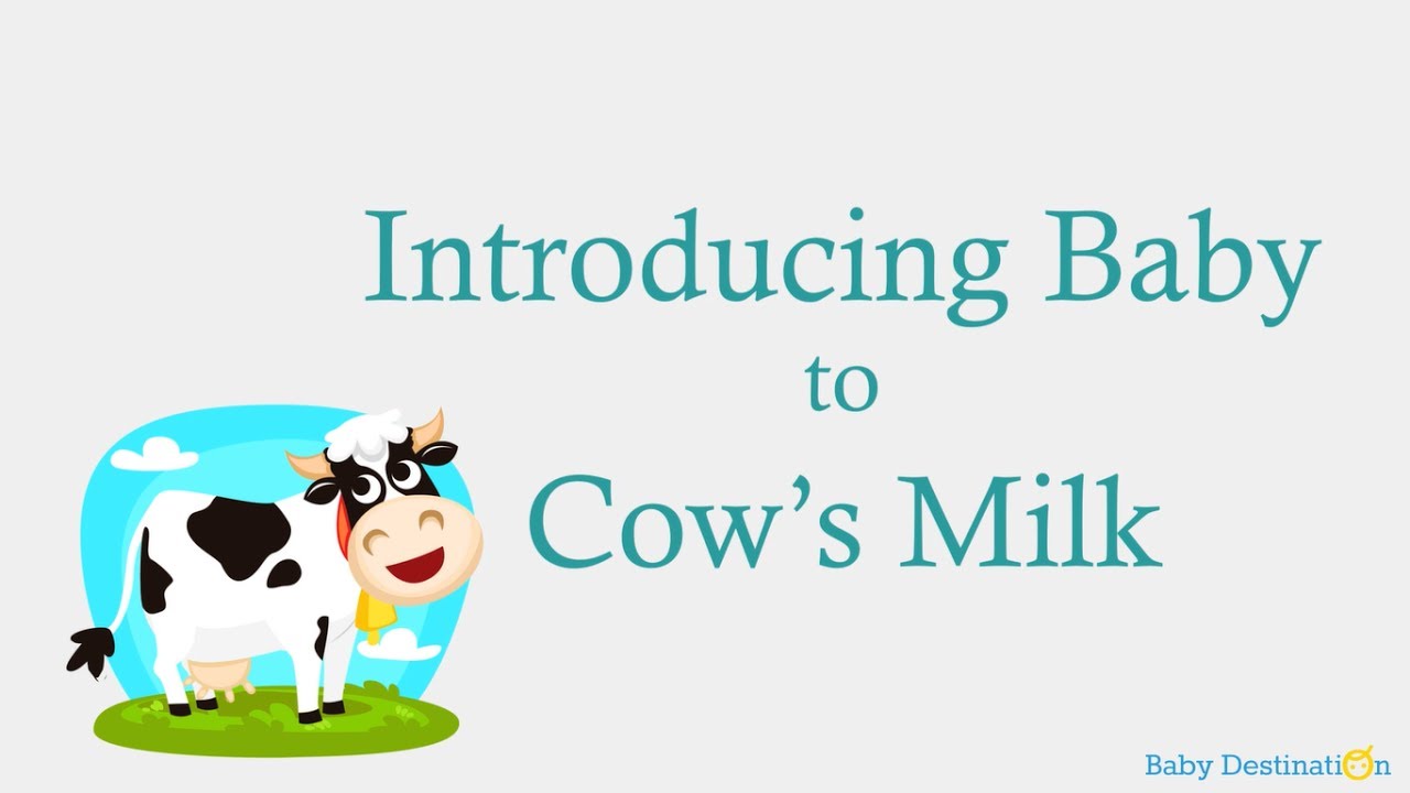 Introducing Baby to Cow's Milk YouTube