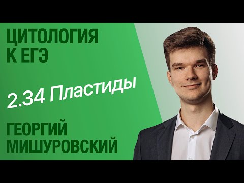 2.34. Хлоропласты, хромопласты и лейкопласты | Цитология к ЕГЭ | Георгий Мишуровский