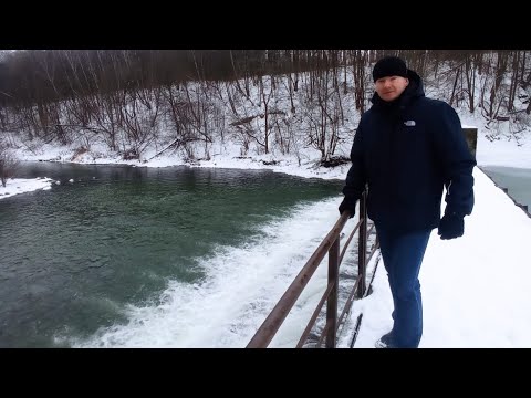 Видео: Безопасность мужчин в 21 веке! Брак,Алименты,Кредит,как не погибнуть от этого!