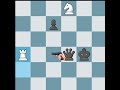 Double Rook Sacrifice #chess #brilliant #checkmate