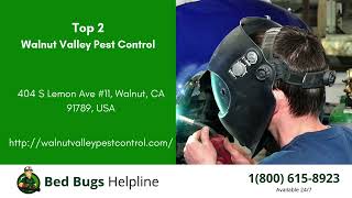 Top 3 Bed Bug Removal Companies in Pomona