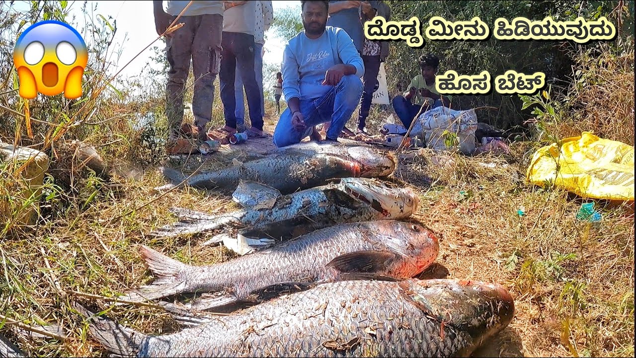 🐠 ಮೀನಿನ ರಾಶಿ ನೋಡಿ ನಮ್ಮ ಮೀನು 🎣ಬೇಟೆ ಹೊಸ ಬೆಟ್!! Fishing videos in Kannada