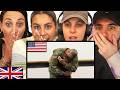 British Family Reacts to MOST EMOTIONAL SOLDIERS COMING HOME! (EMOTIONAL!)