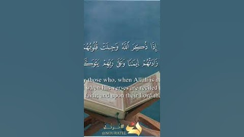 سورة الأنفال #الشيخ وديع اليمني #القرآن_الكريم