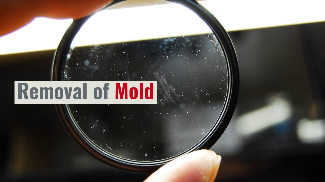 Belton Missouri Water Damage Restoration YouTube