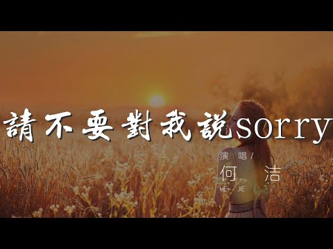 請不要對我說sorry - 何潔『請不要再對我 說一聲Sorry』【動態歌詞Lyrics】