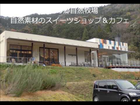 H25 12 9  花御所柿・大江の郷自然牧場